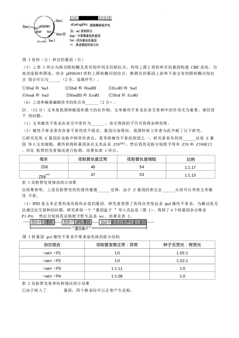 江苏省盐城市2024届高三年级下学期5月月末考前指导卷生物试题+答案(1)_2024年6月(1)_026月合集_2024届江苏省盐城市高三年级下学期5月考前指导卷