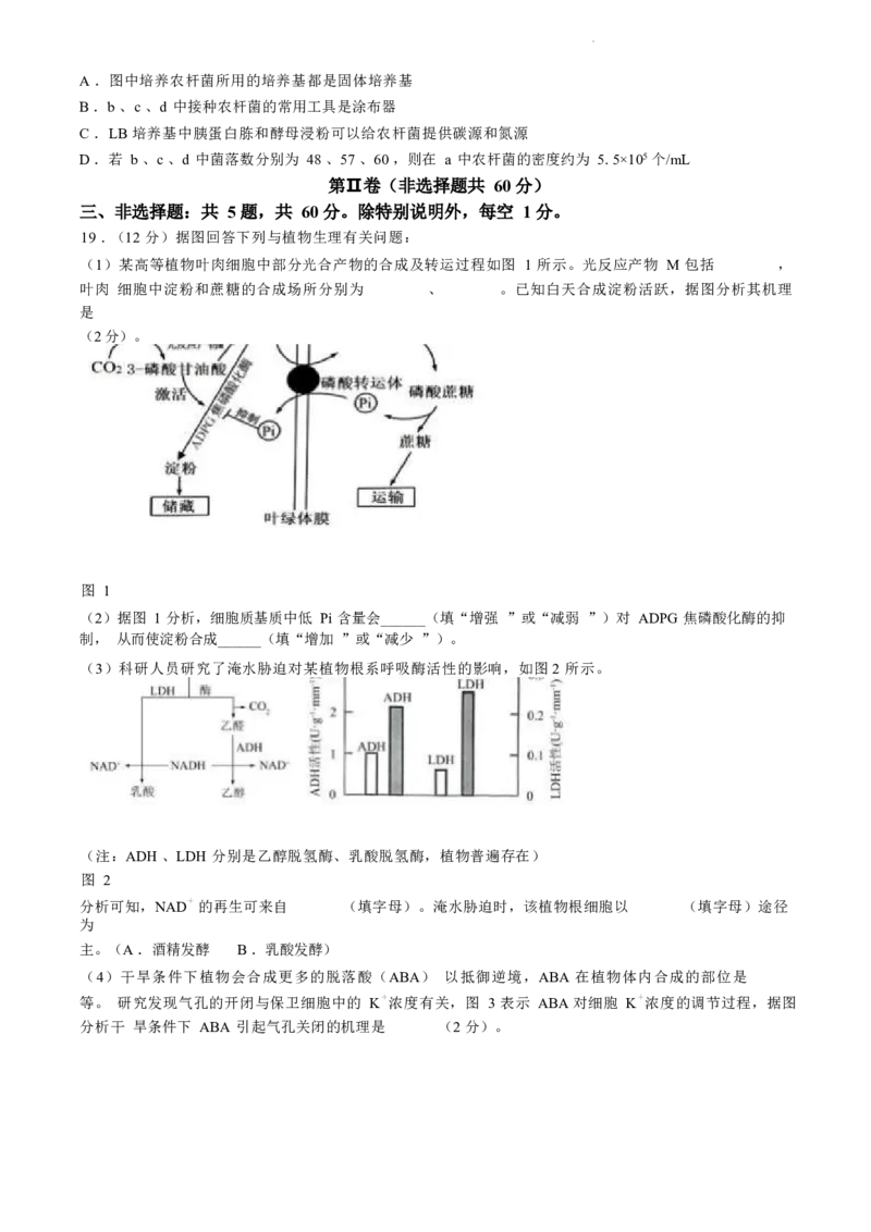 江苏省盐城市2024届高三年级下学期5月月末考前指导卷生物试题+答案(1)_2024年6月(1)_026月合集_2024届江苏省盐城市高三年级下学期5月考前指导卷