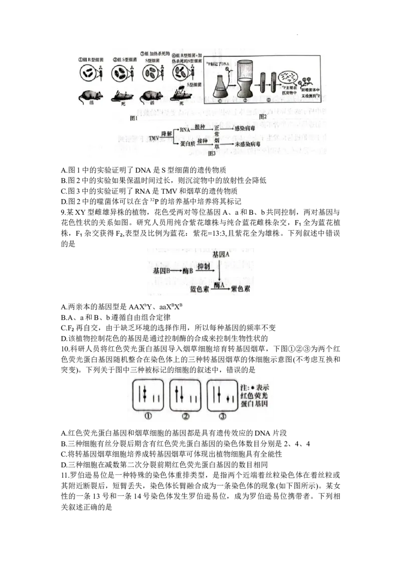 湖南省名校联考联合体2023-2024学年高三上学期10月第三次联考生物试题(1)_2023年10月_0210月合集_2024届湖南炎德英才大联考名校联考联合体高三第三次联考