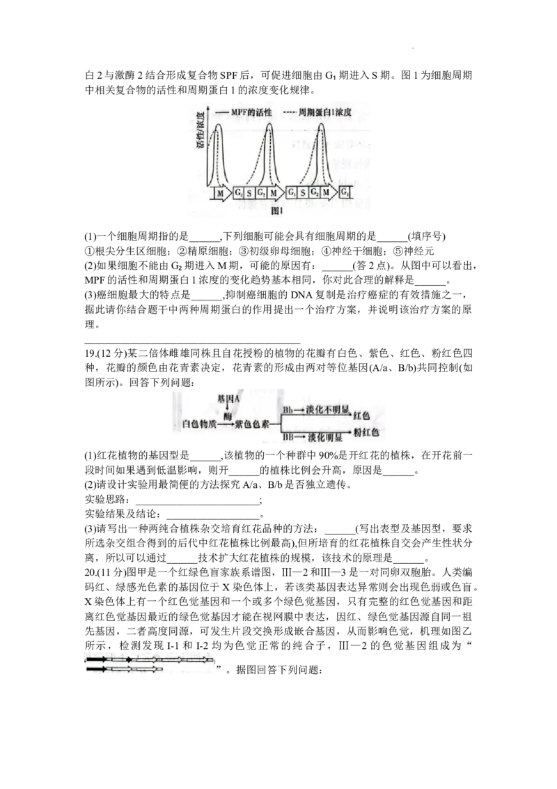 湖南省名校联考联合体2023-2024学年高三上学期10月第三次联考生物试题(1)_2023年10月_0210月合集_2024届湖南炎德英才大联考名校联考联合体高三第三次联考
