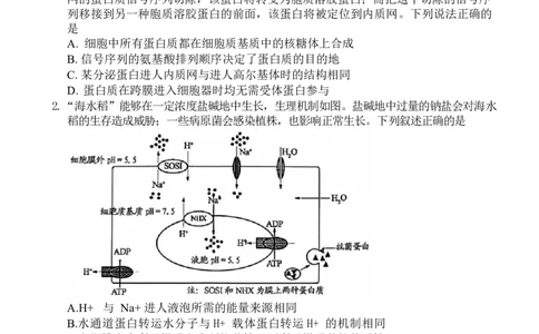 山东省潍坊市2024-2025学年高三上学期1月期末生物试题（含答案）_2025年1月_250116山东省潍坊市、临沂市2024-2025学年度2025届高三上学期期末质量检测（全科）