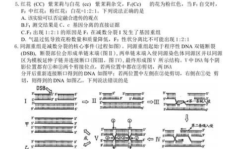 山东省潍坊市2024-2025学年高三上学期1月期末生物试题（含答案）_2025年1月_250116山东省潍坊市、临沂市2024-2025学年度2025届高三上学期期末质量检测（全科）