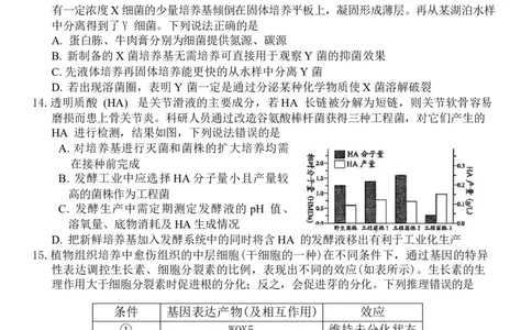 山东省潍坊市2024-2025学年高三上学期1月期末生物试题（含答案）_2025年1月_250116山东省潍坊市、临沂市2024-2025学年度2025届高三上学期期末质量检测（全科）