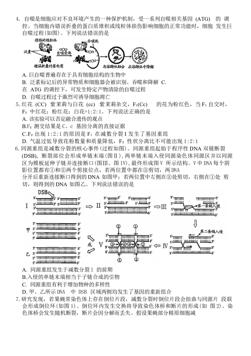山东省潍坊市2024-2025学年高三上学期1月期末生物试题（含答案）_2025年1月_250116山东省潍坊市、临沂市2024-2025学年度2025届高三上学期期末质量检测（全科）