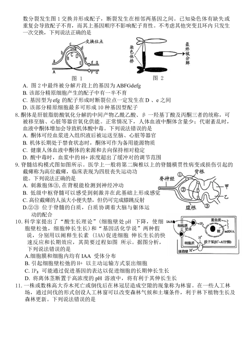 山东省潍坊市2024-2025学年高三上学期1月期末生物试题（含答案）_2025年1月_250116山东省潍坊市、临沂市2024-2025学年度2025届高三上学期期末质量检测（全科）