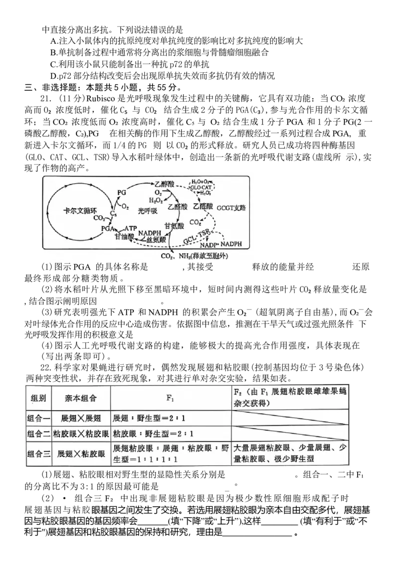 山东省潍坊市2024-2025学年高三上学期1月期末生物试题（含答案）_2025年1月_250116山东省潍坊市、临沂市2024-2025学年度2025届高三上学期期末质量检测（全科）