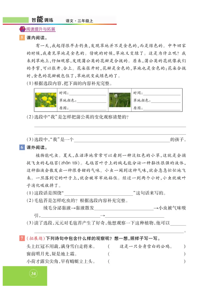 《智能训练》课时-语文3年级上册（RJ）_三年级上下册资料_小学三年级学习资料-25年更新版_3-01、小学三年级语文上册_3-1-2、练习题、作业、试题、试卷_电子册类
