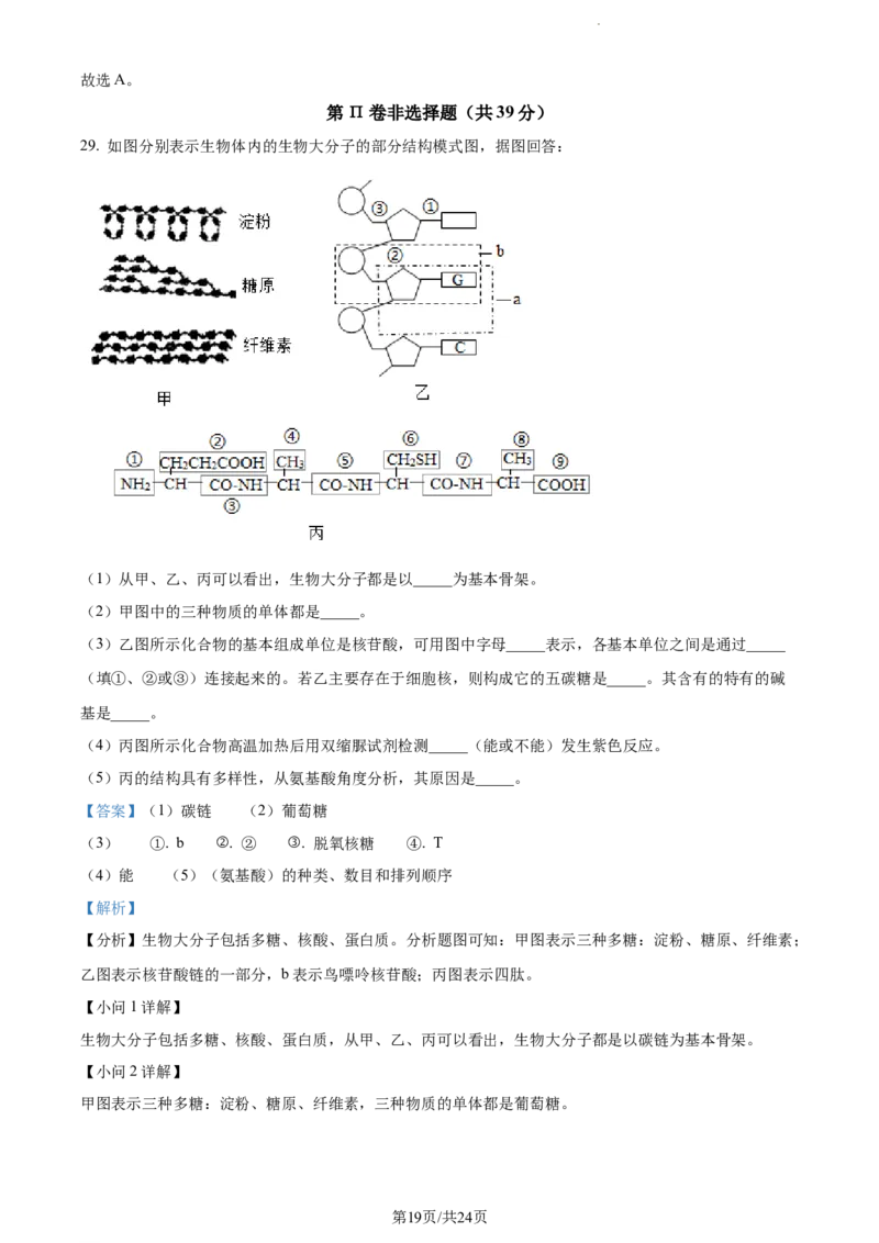 精品解析：河南省周口市项城市三中2023-2024学年高三上学期第一次月考生物试题（解析版）(1)_2023年10月_0210月合集_2024届河南省周口市项城市三中高三上学期第一次月考
