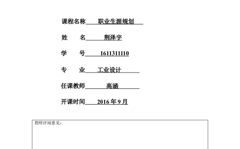 工业设计职业生涯规划作业(1)_E6-职业规划_85工业设计专业