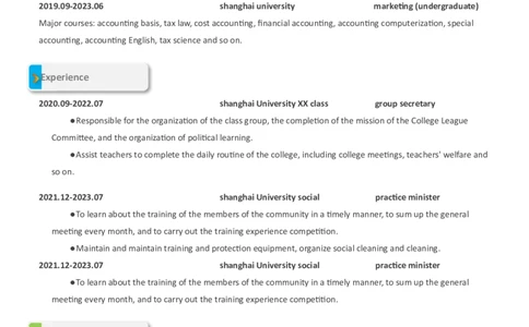 2高端简洁英文CV简历(60)_各类简历_简历模板(1)_英文简历模版86套2025版_