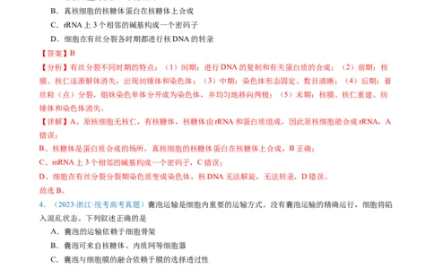 专题02细胞的结构和功能-五年（2019-2023）高考生物真题分项汇编（全国通用）（解析版）_赠送：2008-2024全套高考真题_高考生物真题