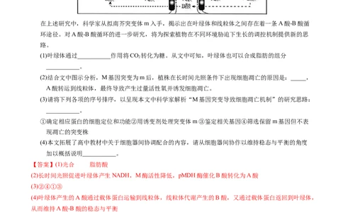 专题02细胞的结构和功能-五年（2019-2023）高考生物真题分项汇编（全国通用）（解析版）_赠送：2008-2024全套高考真题_高考生物真题
