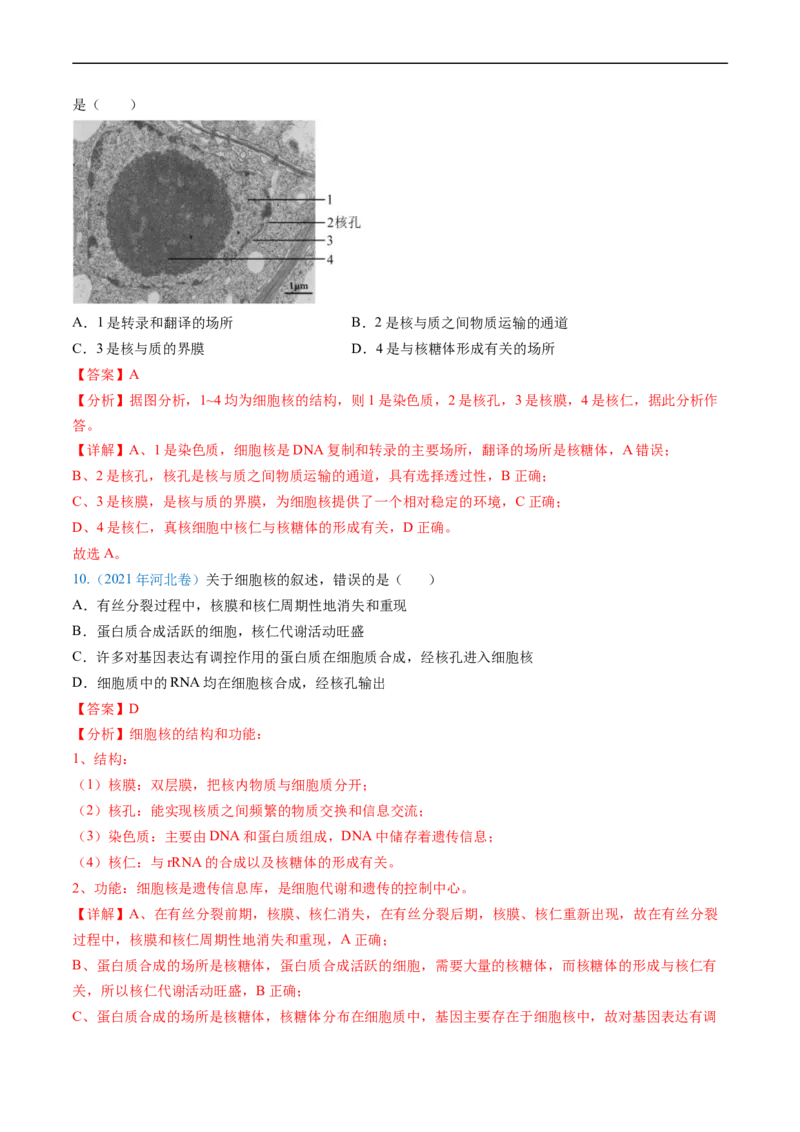专题02细胞的结构和功能-五年（2019-2023）高考生物真题分项汇编（全国通用）（解析版）_赠送：2008-2024全套高考真题_高考生物真题