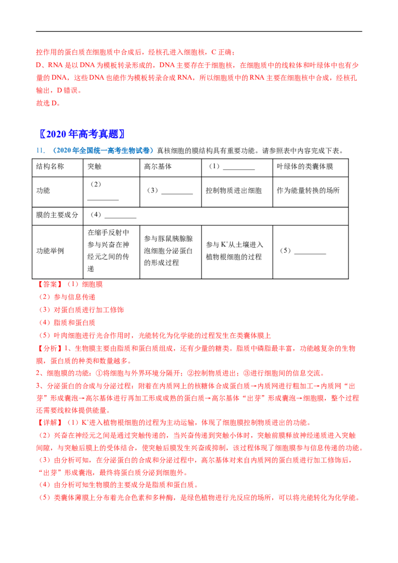 专题02细胞的结构和功能-五年（2019-2023）高考生物真题分项汇编（全国通用）（解析版）_赠送：2008-2024全套高考真题_高考生物真题