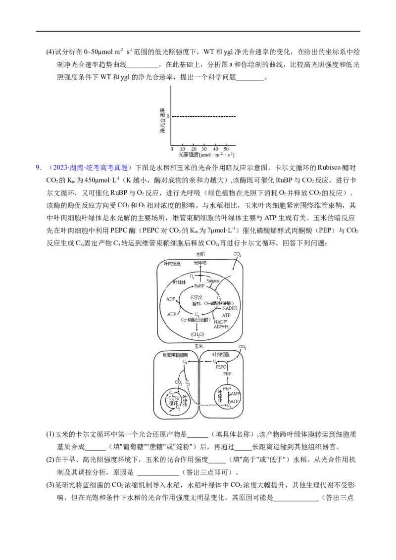 专题05细胞呼吸与光合作用-五年（2019-2023）高考生物真题分项汇编（全国通用）（原卷版）_赠送：2008-2024全套高考真题_高考生物真题