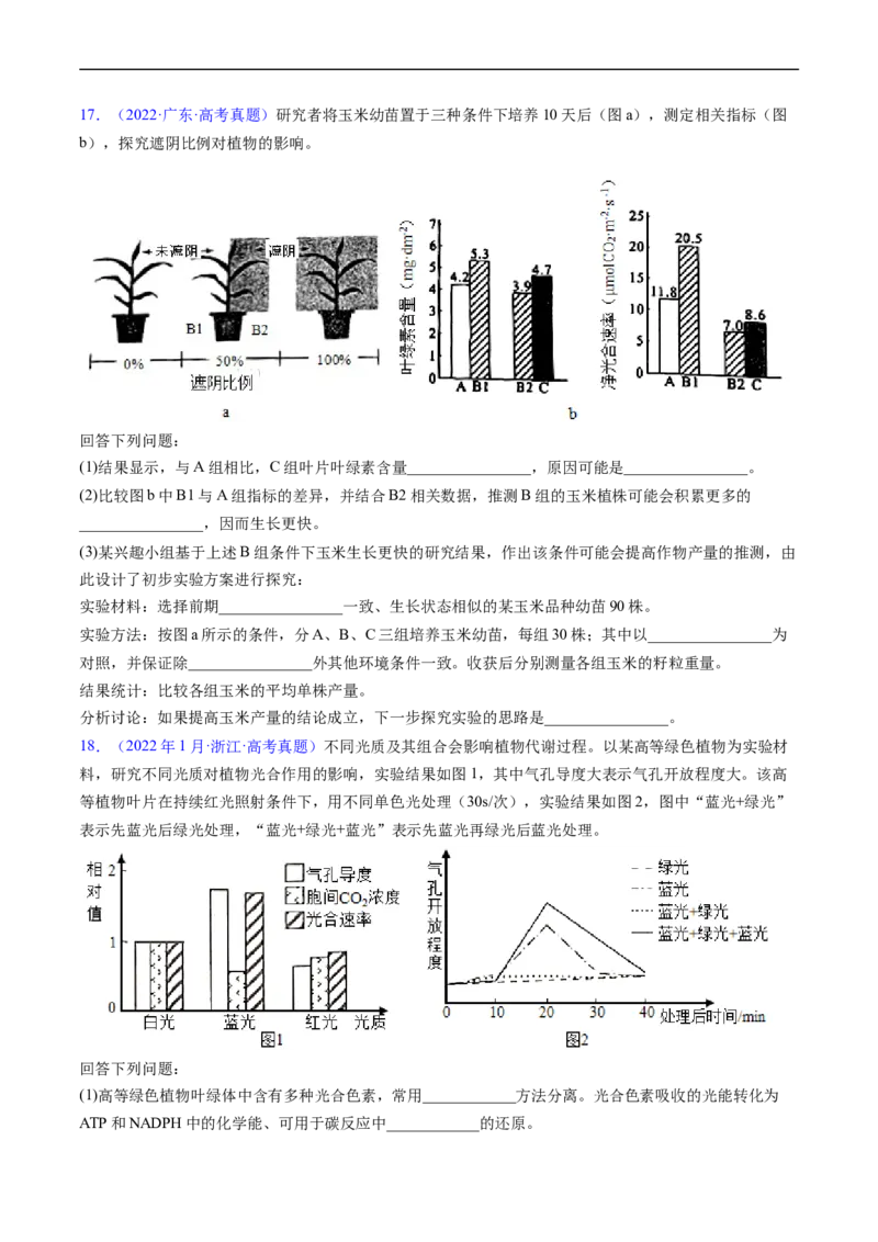 专题05细胞呼吸与光合作用-五年（2019-2023）高考生物真题分项汇编（全国通用）（原卷版）_赠送：2008-2024全套高考真题_高考生物真题