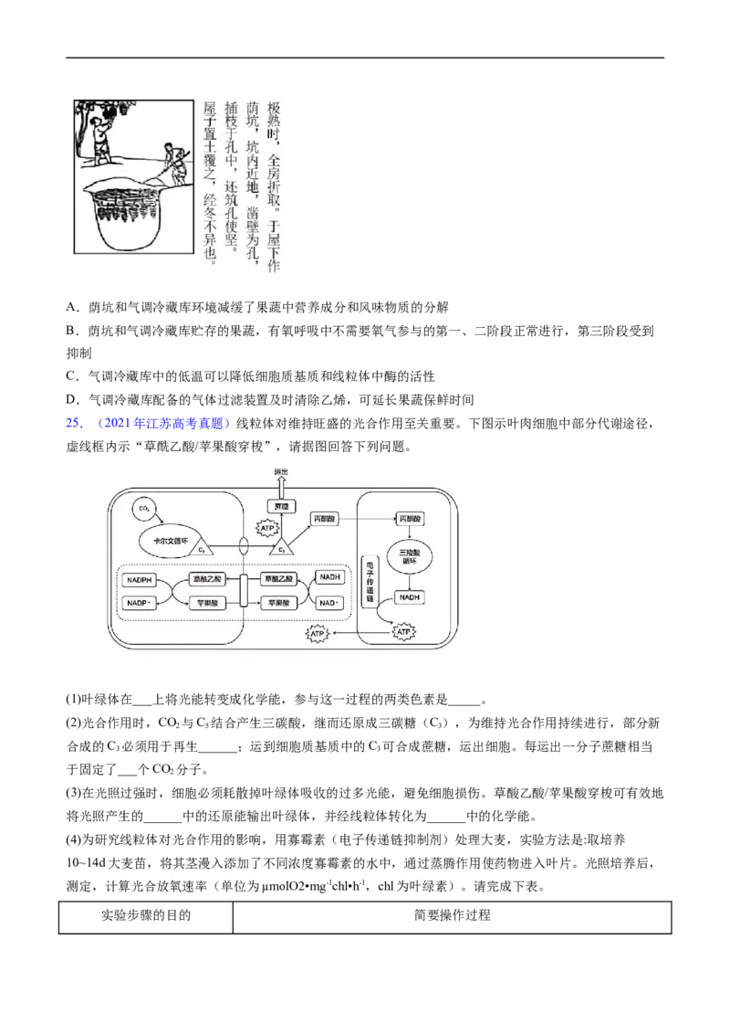 专题05细胞呼吸与光合作用-五年（2019-2023）高考生物真题分项汇编（全国通用）（原卷版）_赠送：2008-2024全套高考真题_高考生物真题