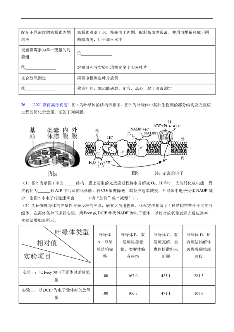 专题05细胞呼吸与光合作用-五年（2019-2023）高考生物真题分项汇编（全国通用）（原卷版）_赠送：2008-2024全套高考真题_高考生物真题