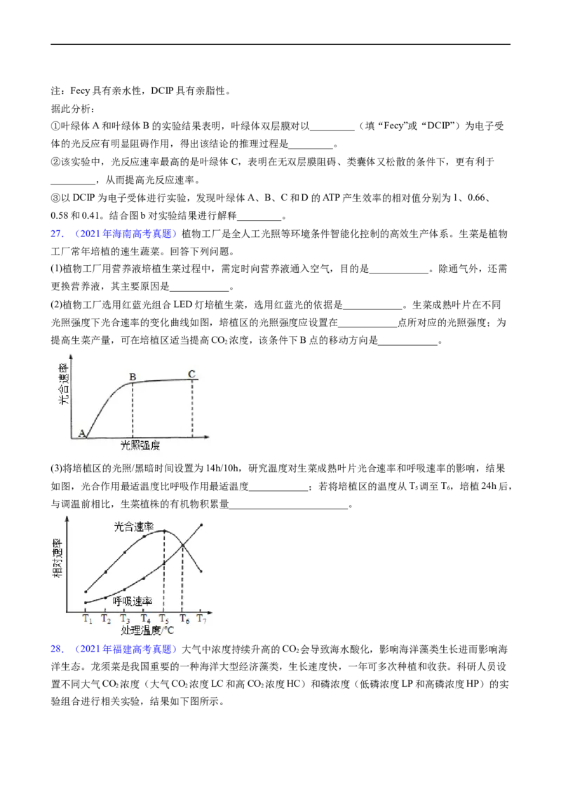 专题05细胞呼吸与光合作用-五年（2019-2023）高考生物真题分项汇编（全国通用）（原卷版）_赠送：2008-2024全套高考真题_高考生物真题