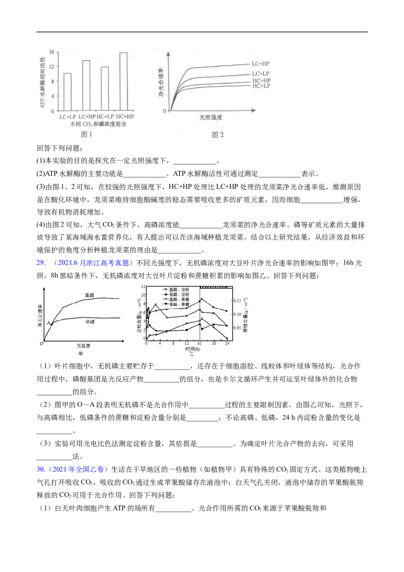 专题05细胞呼吸与光合作用-五年（2019-2023）高考生物真题分项汇编（全国通用）（原卷版）_赠送：2008-2024全套高考真题_高考生物真题