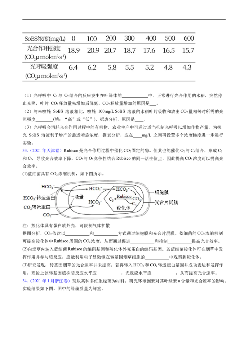 专题05细胞呼吸与光合作用-五年（2019-2023）高考生物真题分项汇编（全国通用）（原卷版）_赠送：2008-2024全套高考真题_高考生物真题
