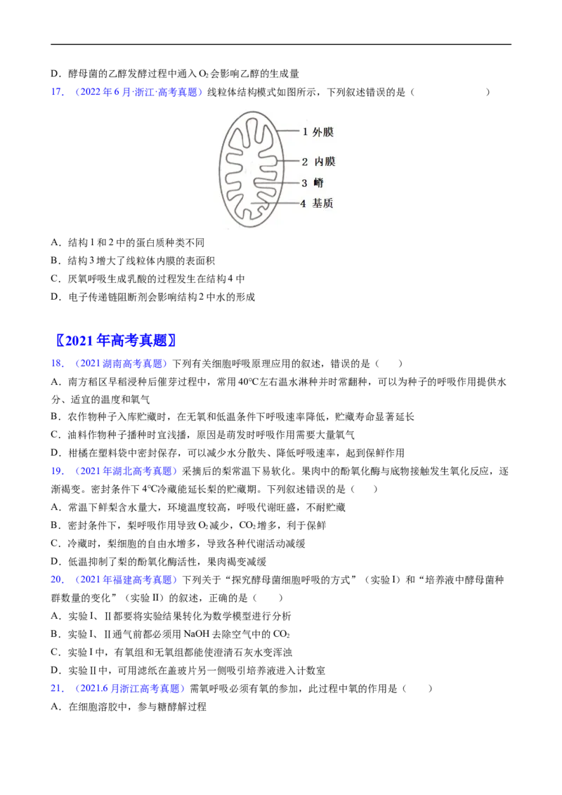 专题05细胞呼吸与光合作用-五年（2019-2023）高考生物真题分项汇编（全国通用）（原卷版）_赠送：2008-2024全套高考真题_高考生物真题