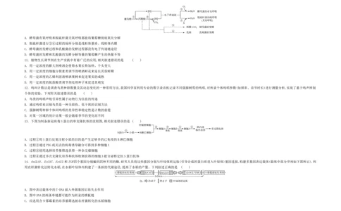 江苏省2024届高三年级第一学期期初学情调研迎考卷-生物_2023年9月_01每日更新_12号_2024届江苏省高三上学期期初学情调研迎考_江苏省2024届高三上学期期初学情调研迎考生物