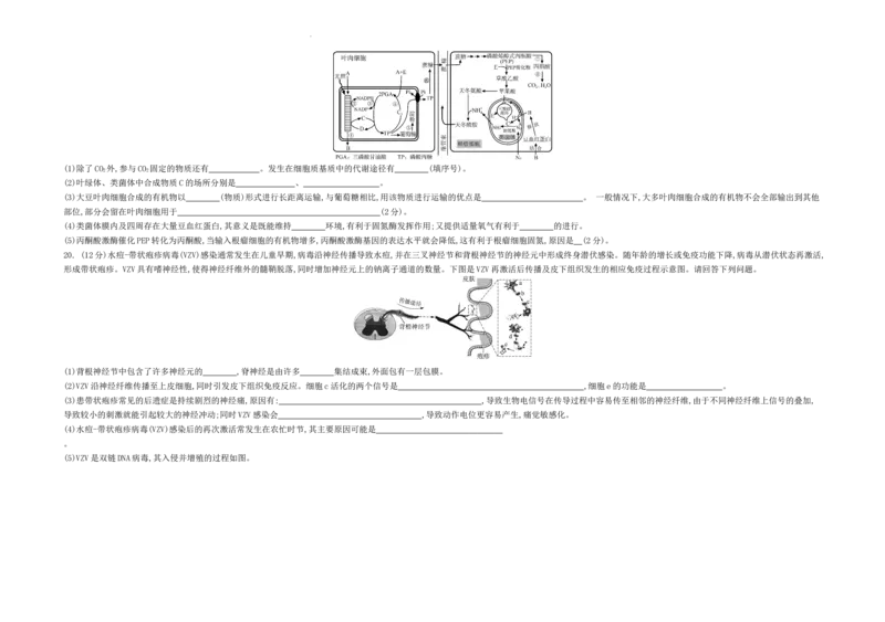 江苏省2024届高三年级第一学期期初学情调研迎考卷-生物_2023年9月_01每日更新_12号_2024届江苏省高三上学期期初学情调研迎考_江苏省2024届高三上学期期初学情调研迎考生物