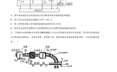 生物（河北卷）（考试版）_2023高考押题卷_学易金卷-2023学科网押题卷（各科各版本）_2023学科网押题卷-学易金卷-生物_生物（河北卷）-学易金卷：2023年高考考前押题密卷