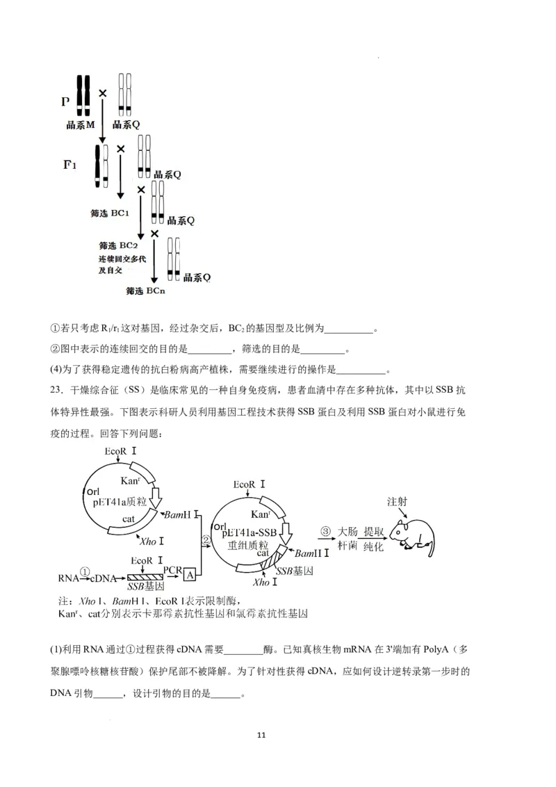 生物（河北卷）（考试版）_2023高考押题卷_学易金卷-2023学科网押题卷（各科各版本）_2023学科网押题卷-学易金卷-生物_生物（河北卷）-学易金卷：2023年高考考前押题密卷