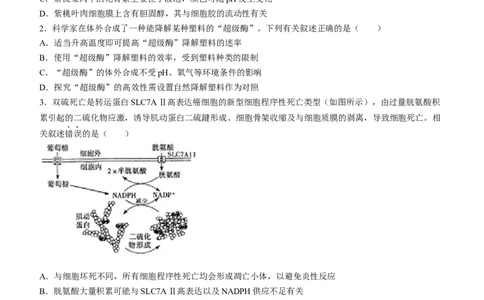 2024届江苏省南通市高三下学期高考适应性考试(三)生物试题+答案_2024年5月_01按日期_28号_2024届江苏省南通市高考适应性考试(三)南通如皋3.5模