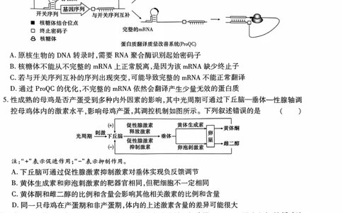 生物试卷_2024高考押题卷_22024王hou雄_16王后雄押题_2024年王后雄高考押题预测卷（湖北专版）_生物