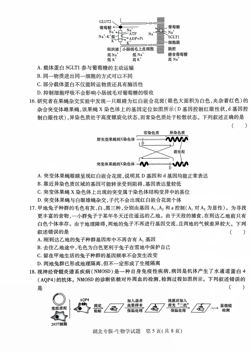 生物试卷_2024高考押题卷_22024王hou雄_16王后雄押题_2024年王后雄高考押题预测卷（湖北专版）_生物