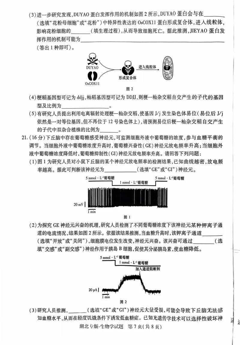 生物试卷_2024高考押题卷_22024王hou雄_16王后雄押题_2024年王后雄高考押题预测卷（湖北专版）_生物