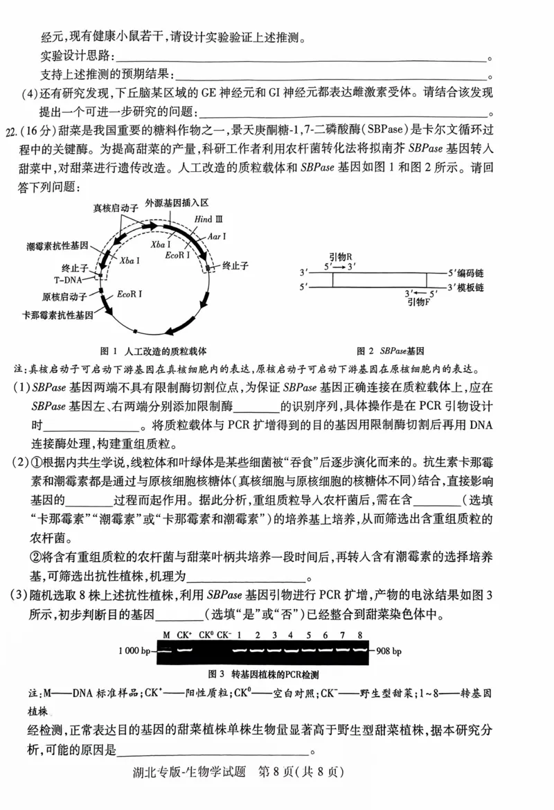 生物试卷_2024高考押题卷_22024王hou雄_16王后雄押题_2024年王后雄高考押题预测卷（湖北专版）_生物