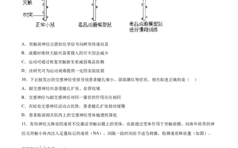 生物（北京卷）（A4考试版）_2023高考押题卷_学易金卷-2023学科网押题卷（各科各版本）_2023学科网押题卷-学易金卷-生物_生物（北京卷）-学易金卷：2023年高考考前押题密卷