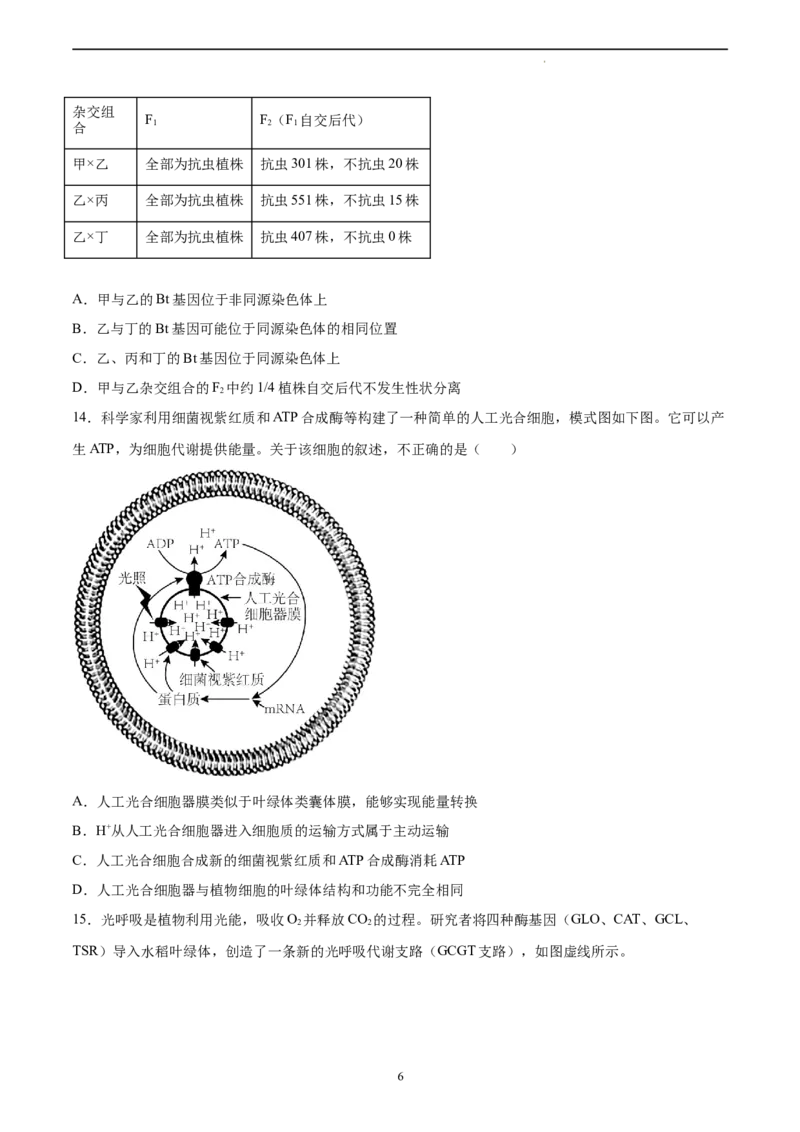 生物（北京卷）（A4考试版）_2023高考押题卷_学易金卷-2023学科网押题卷（各科各版本）_2023学科网押题卷-学易金卷-生物_生物（北京卷）-学易金卷：2023年高考考前押题密卷
