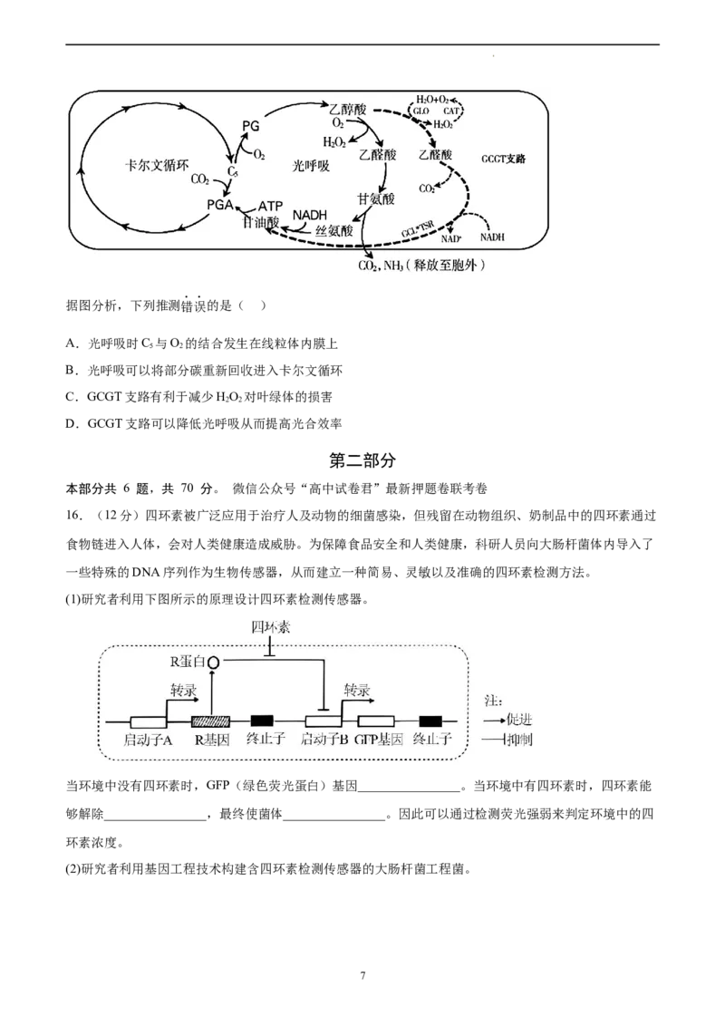 生物（北京卷）（A4考试版）_2023高考押题卷_学易金卷-2023学科网押题卷（各科各版本）_2023学科网押题卷-学易金卷-生物_生物（北京卷）-学易金卷：2023年高考考前押题密卷