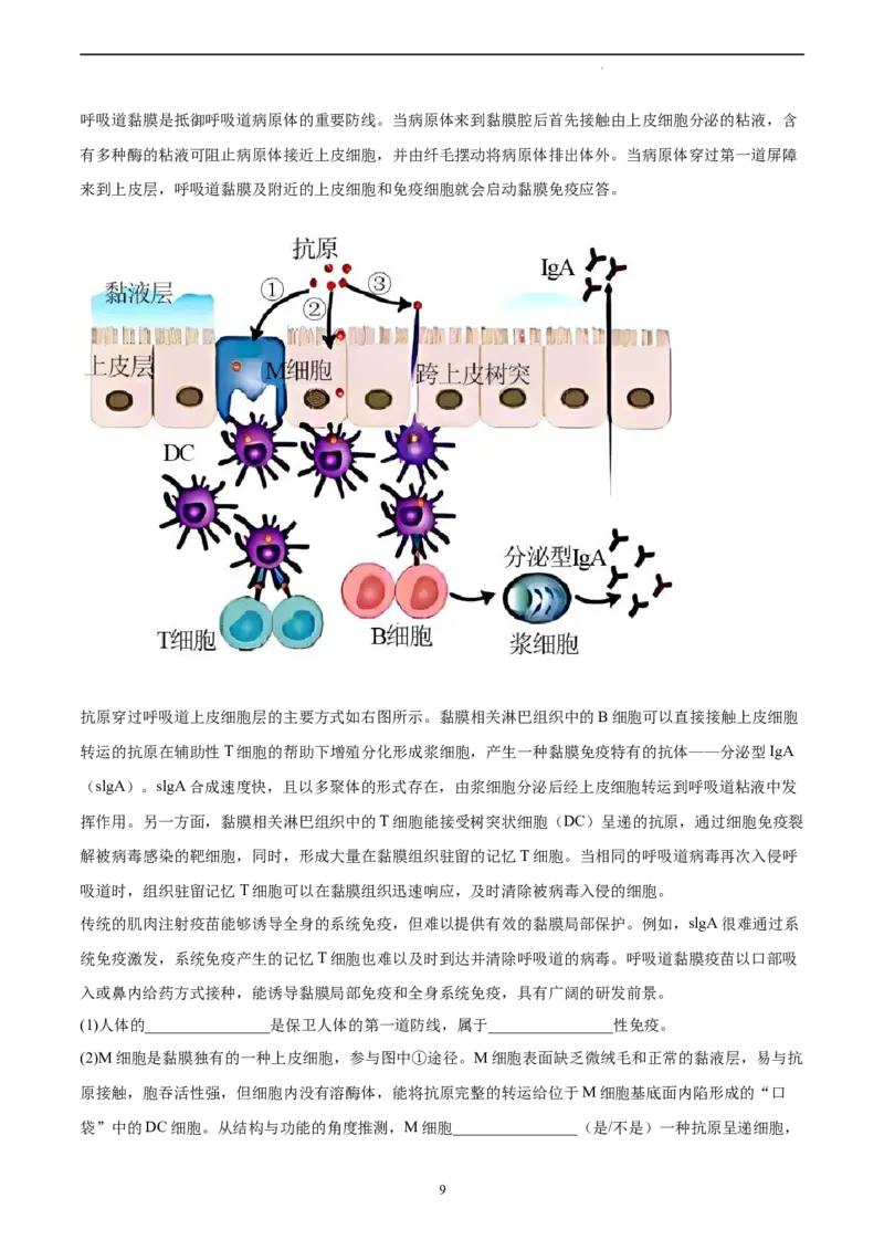 生物（北京卷）（A4考试版）_2023高考押题卷_学易金卷-2023学科网押题卷（各科各版本）_2023学科网押题卷-学易金卷-生物_生物（北京卷）-学易金卷：2023年高考考前押题密卷