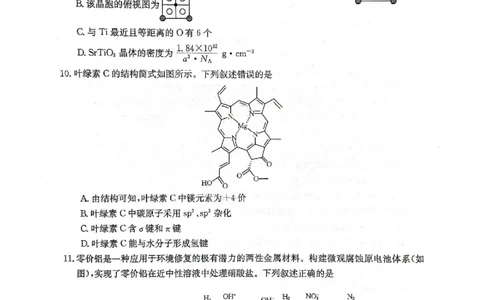 2023-2024年3月河北省邢台市五岳联盟高三下学期化学试题_2024年3月_013月合集_2024届高三3月金太阳百万联考（新高考）（半瓶水）_2024届高三3月金太阳百万联考（新高考）（半瓶水）化学