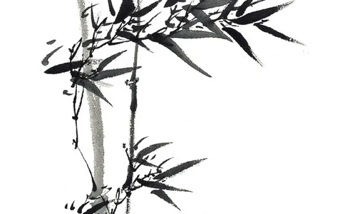 大学生职业生涯规划书(生物工程)_E6-职业规划_36生物专业