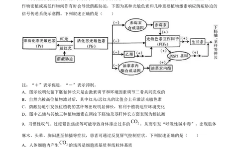 2024届江苏省新高考基地学校第五次大联考生物试题(1)_2024年4月_024月合集_2024届江苏新高考基地学校高三第五次大联考
