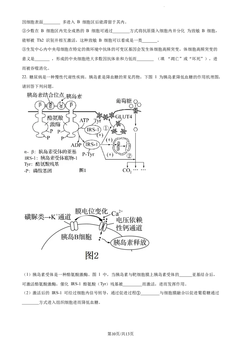 精品解析：江苏省基地大联考2023-2024学年高三上学期第一次质量监测生物试题（原卷版）_2023年9月_01每日更新_16号_2024届江苏省基地大联考高三上学期第一次质量监测