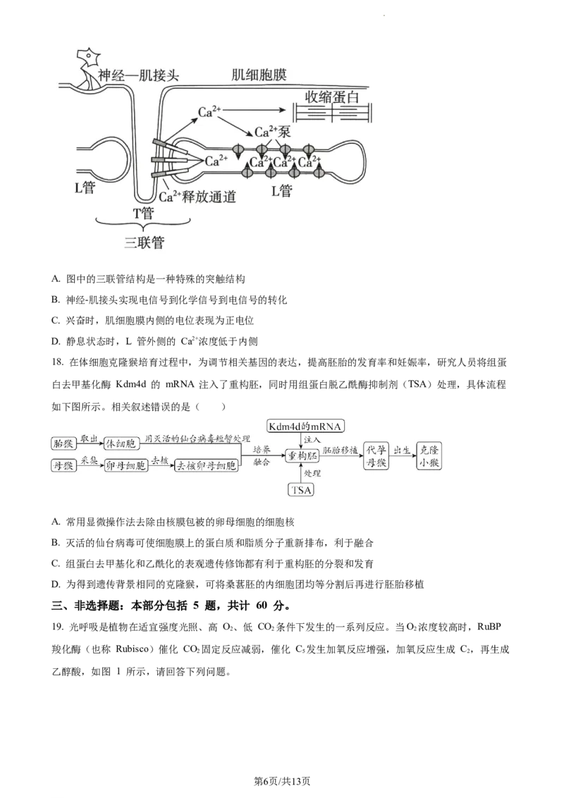 精品解析：江苏省基地大联考2023-2024学年高三上学期第一次质量监测生物试题（原卷版）_2023年9月_01每日更新_16号_2024届江苏省基地大联考高三上学期第一次质量监测