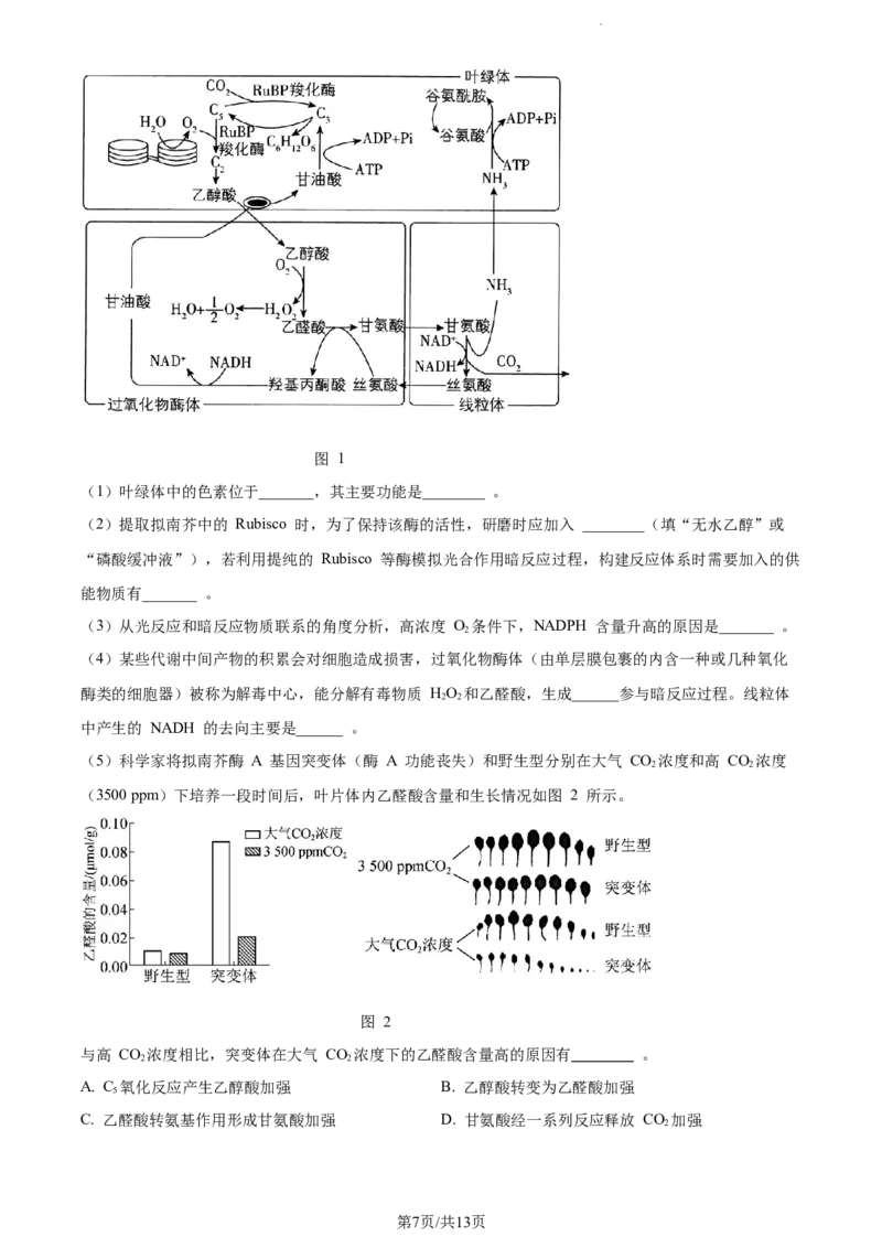 精品解析：江苏省基地大联考2023-2024学年高三上学期第一次质量监测生物试题（原卷版）_2023年9月_01每日更新_16号_2024届江苏省基地大联考高三上学期第一次质量监测