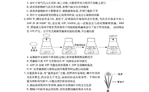 生物_2023年7月_01每日更新_30号_2023届湖北高三新起点9月联考_试卷