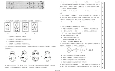 高三十月月考生物(1)_2023年10月_0210月合集_2024届天津市静海区北师大实验学校高三上学期第一阶段评估_天津市静海区北师大实验学校2024届高三上学期第一阶段评估生物