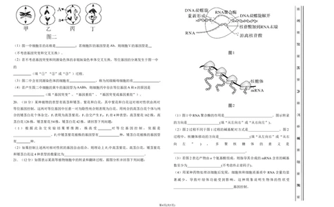 高三十月月考生物(1)_2023年10月_0210月合集_2024届天津市静海区北师大实验学校高三上学期第一阶段评估_天津市静海区北师大实验学校2024届高三上学期第一阶段评估生物
