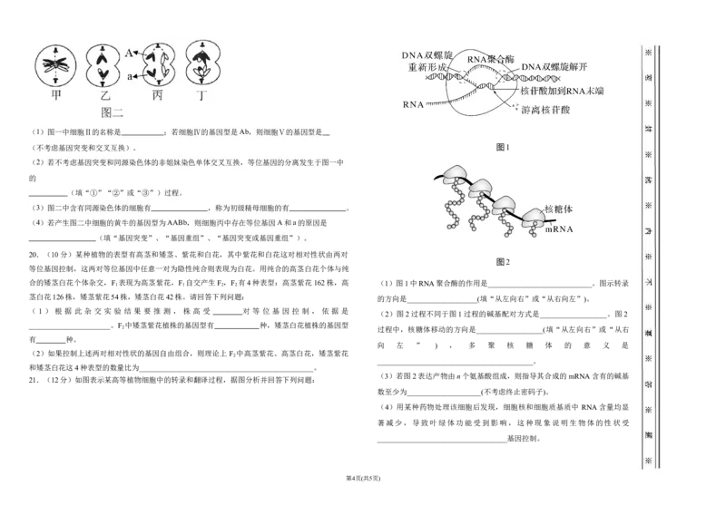 高三十月月考生物(1)_2023年10月_0210月合集_2024届天津市静海区北师大实验学校高三上学期第一阶段评估_天津市静海区北师大实验学校2024届高三上学期第一阶段评估生物