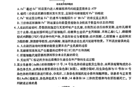 2024届山东省智慧上进高三5月大联考生物试卷+答案_2024年5月_01按日期_28号_2024届山东省智慧上进高三5月大联考